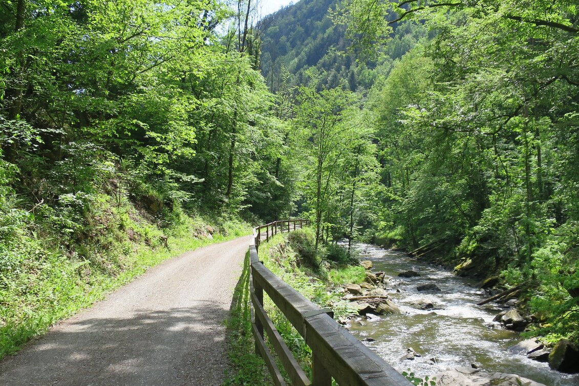 Radfahren Feistritztalradweg R8 - Touren-Impression #1 | © Oststeiermark Tourismus