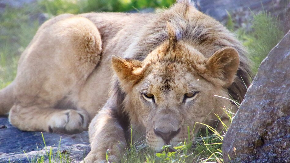 Radfahren Feistritztalradweg R8 - Touren-Impression #2.7 | © Tierwelt Herberstein