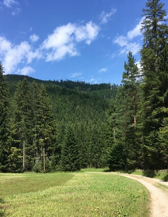 Rundwanderung durch die Schwarzwalstern | Raffaela Pitzl | © TV Hochsteiermark