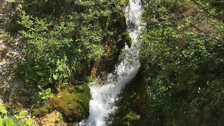 Regional hiking trail Round hike through "Schwarzwalstern" - Touren-Impression #2.3 | © TV Hochsteiermark