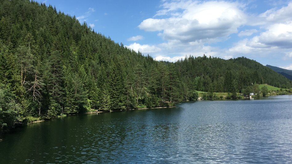 Regional hiking trail Round hike through "Schwarzwalstern" - Touren-Impression #2.5 | © TV Hochsteiermark