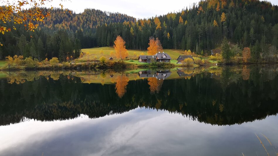 Regional hiking trail Round hike through "Schwarzwalstern" - Touren-Impression #2.6 | © TV Hochsteiermark