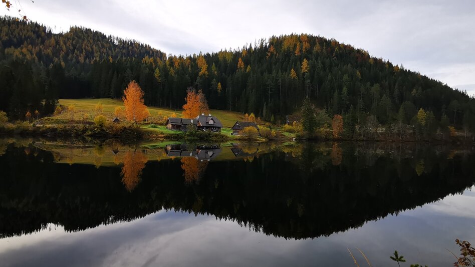 Regional hiking trail Round hike through "Schwarzwalstern" - Touren-Impression #2.7 | © TV Hochsteiermark