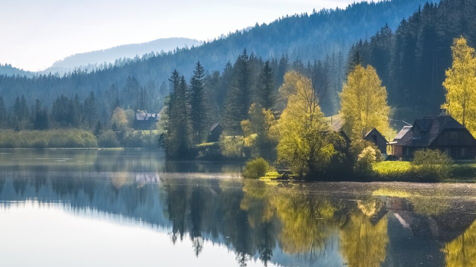 Regional hiking trail Round hike through "Schwarzwalstern" - Touren-Impression #2.9 | © TV Hochsteiermark