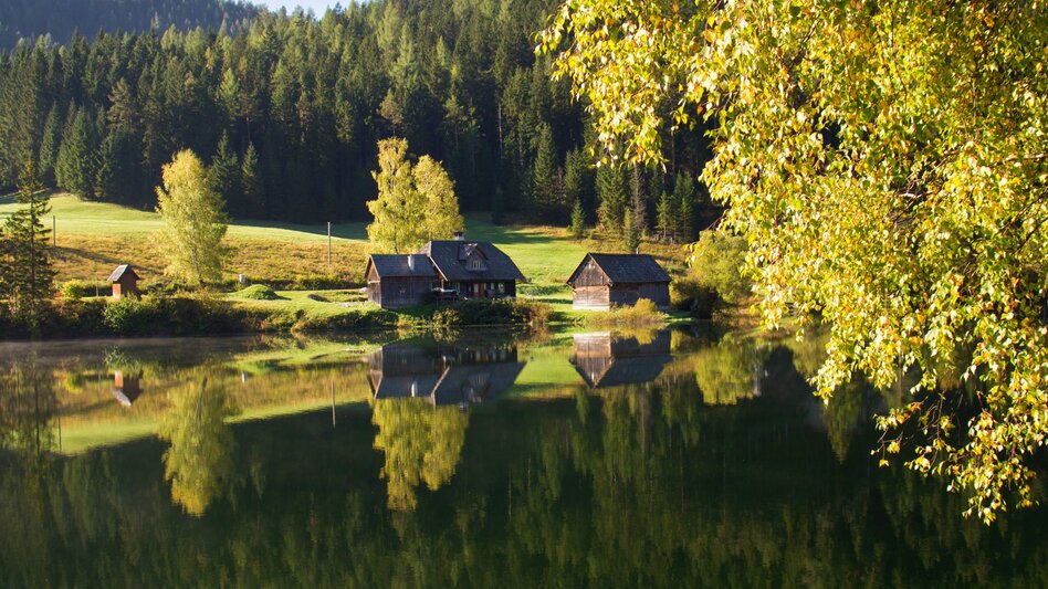 Regional hiking trail Round hike through "Schwarzwalstern" - Touren-Impression #2.10 | © TV Hochsteiermark