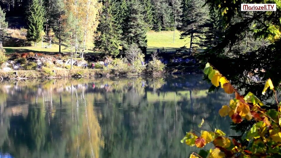 Regional hiking trail Round hike through "Schwarzwalstern" - Touren-Impression #2.11 | © Mariazellerland Blog