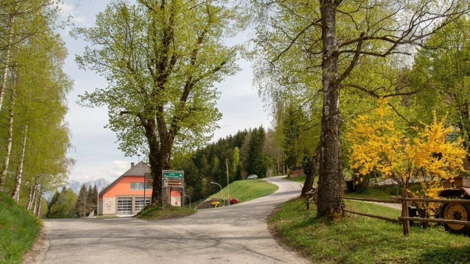 Wanderung Ardninger Höhenweg nach Frauenberg - Touren-Impression #2.9 | © TV Gesäuse
