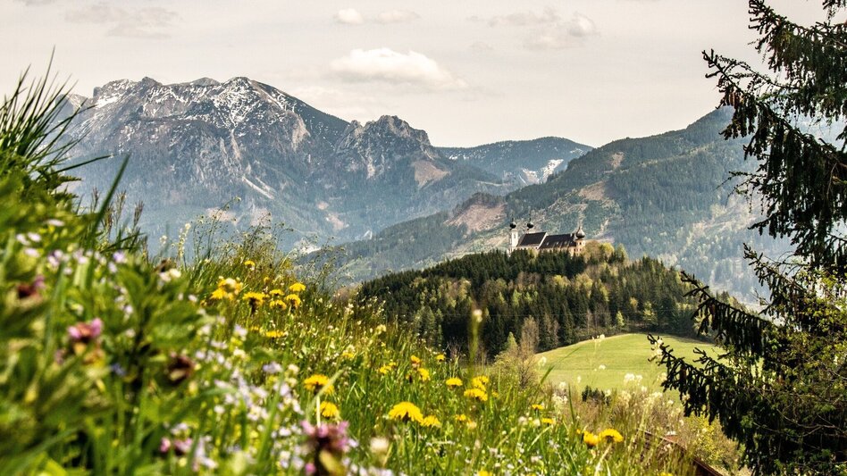 Wanderung Ardninger Höhenweg nach Frauenberg - Touren-Impression #2.13 | © TV Gesäuse