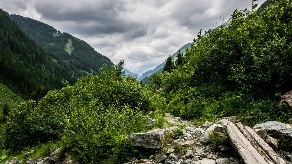 Fernwanderweg 3-Tages-Genusstour - Obertaler Almenrunde - Touren-Impression #2.2 | © Gerhard Pilz - www.gpic.at