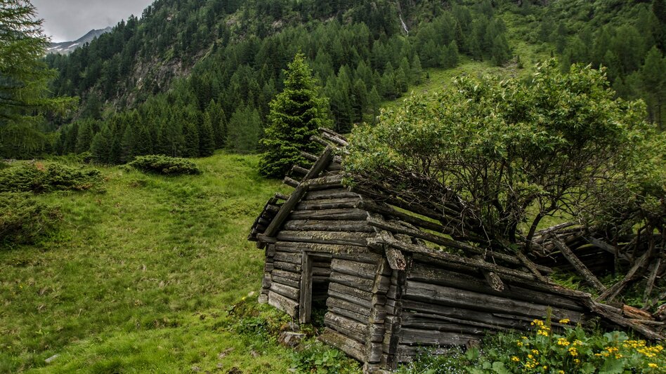 Fernwanderweg 3-Tages-Genusstour - Obertaler Almenrunde - Touren-Impression #2.4 | © Gerhard Pilz - www.gpic.at