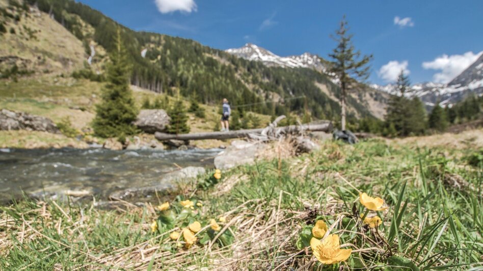 Hiking route Preintalerhütte chalet via Alpine Trail through "Höll" gorge - Touren-Impression #2.12 | © Gerhard Pilz - www.gpic.at