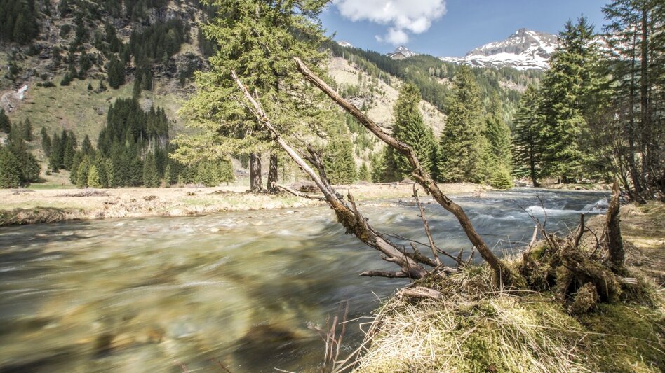 Hiking route Preintalerhütte chalet via Alpine Trail through "Höll" gorge - Touren-Impression #2.13 | © Gerhard Pilz - www.gpic.at