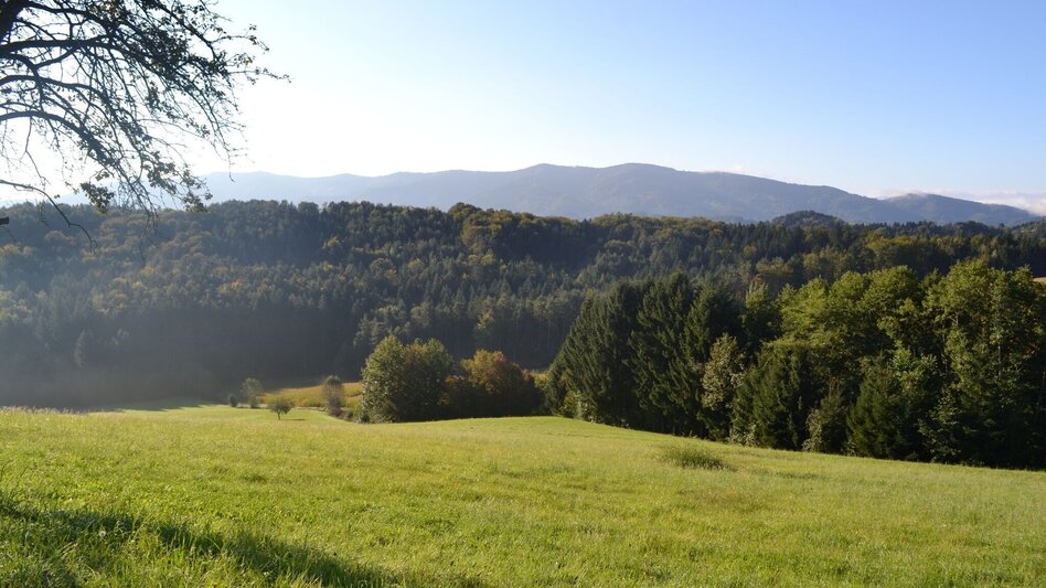 Hiking route Weingartenweg - Touren-Impression #2.2 | © TV Südsteiermark