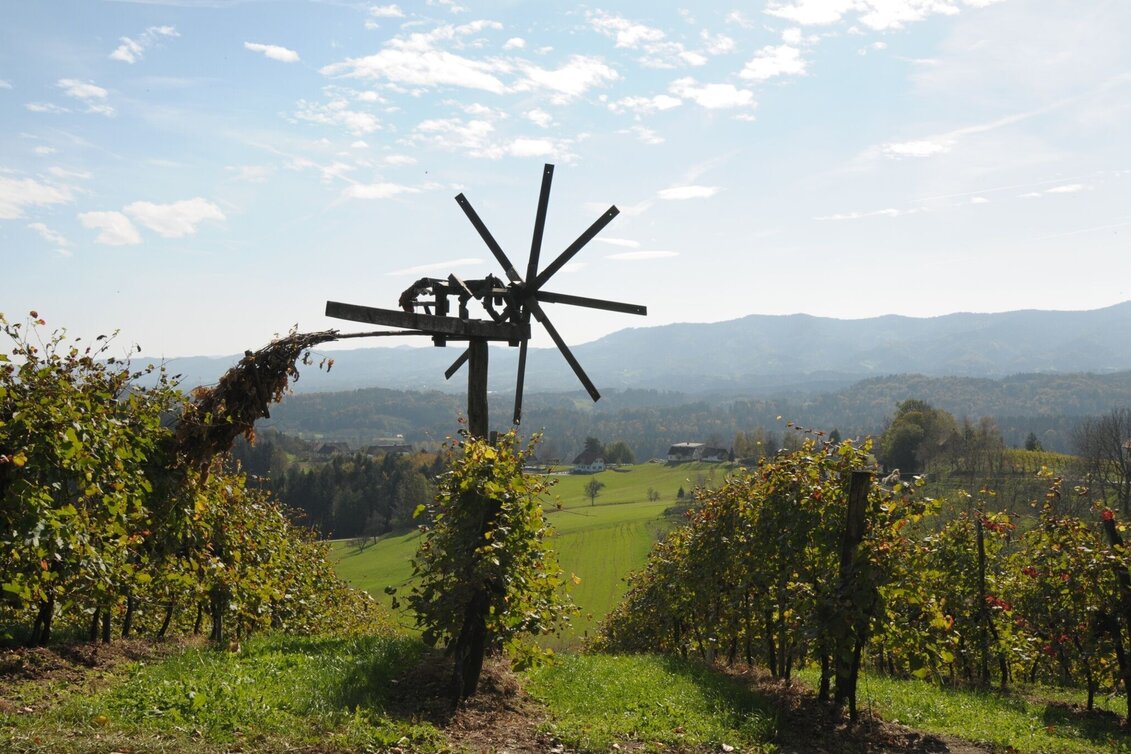 Hiking route Weingartenweg - Touren-Impression #1 | © TV Südsteiermark
