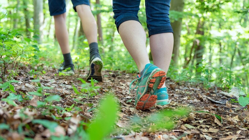 Wanderung Heimschuher-Runde Nord Nr. 4  - Touren-Impression #2.2 | © TV Südsteiermark