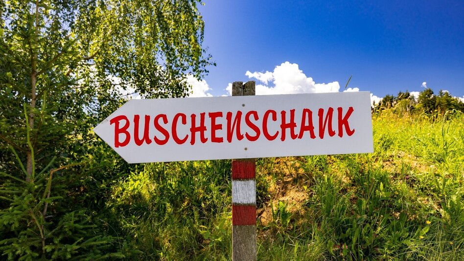 Wanderung Wöllmißberger Buschenschank-Gaudi - Touren-Impression #2.1 | © Region Graz