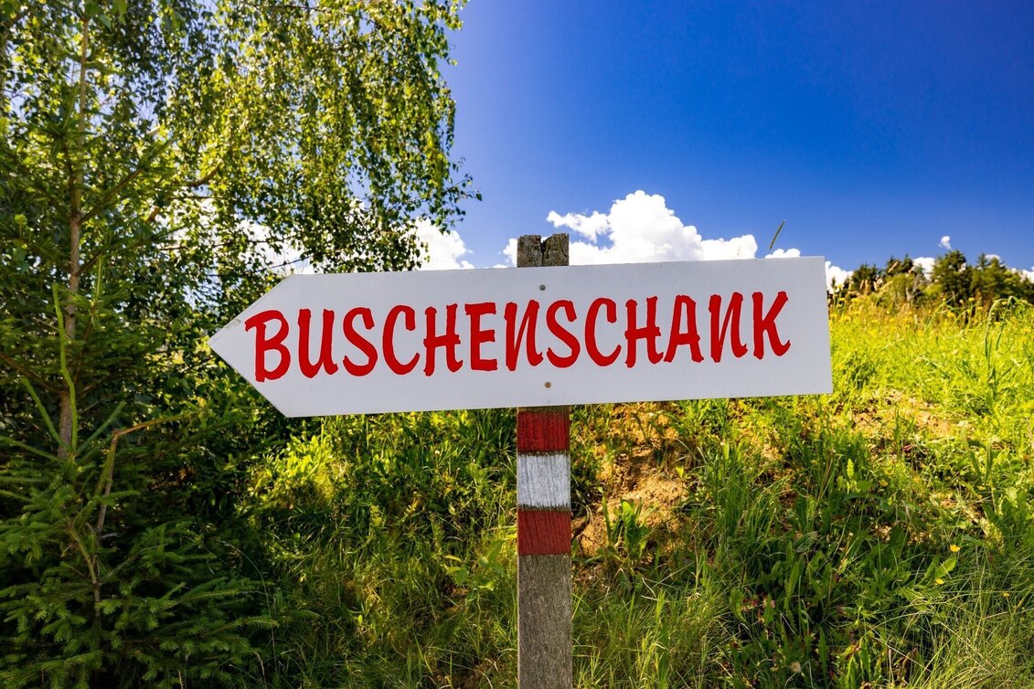 Wanderung Wöllmißberger Buschenschank-Gaudi - Touren-Impression #1 | © Region Graz