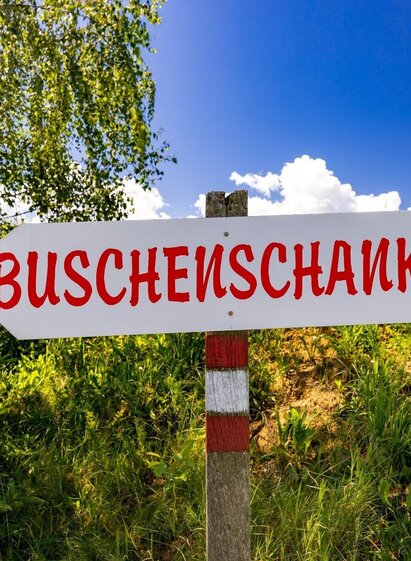 Buschenschank-Gaudi in St. Martin ob Wöllmißberg | © Region Graz | Harry Schiffer | © Region Graz