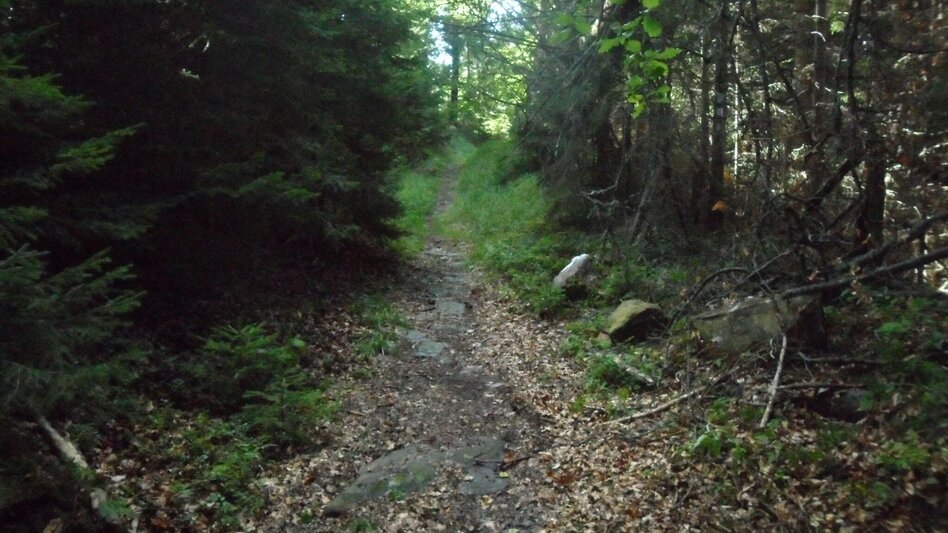 Wanderung Almhausweg - Touren-Impression #2.4 | © Region Graz