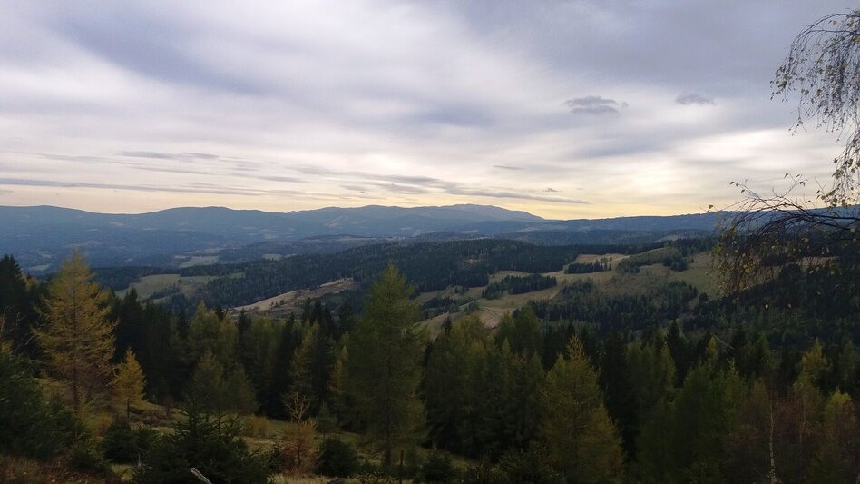 Wanderung Almhausweg - Touren-Impression #2.9 | © Region Graz