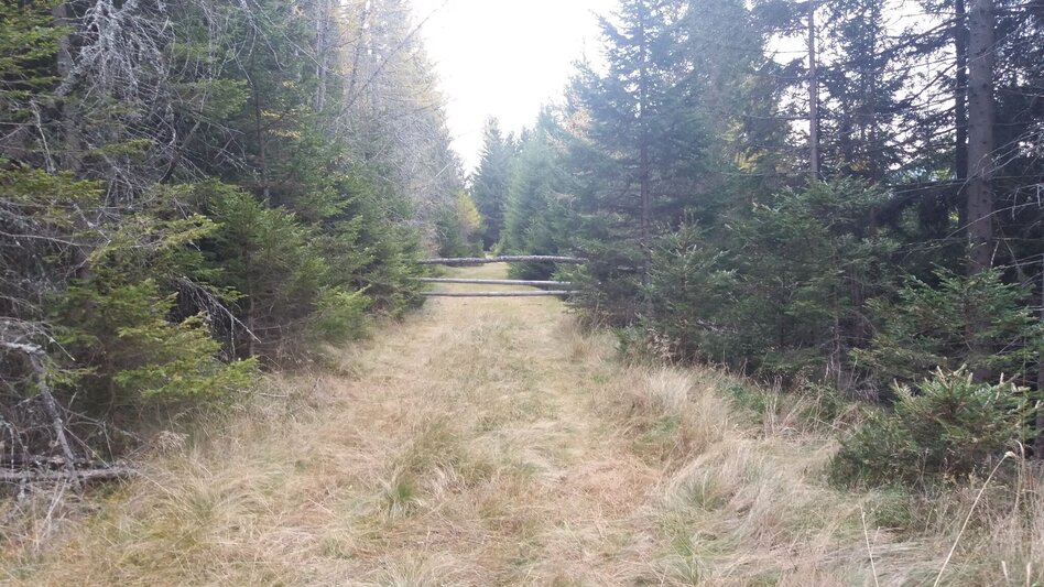 Wanderung Almhausweg - Touren-Impression #2.12 | © Region Graz