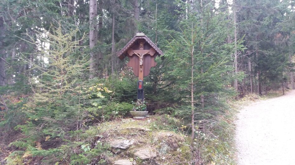 Wanderung Almhausweg - Touren-Impression #2.13 | © Region Graz