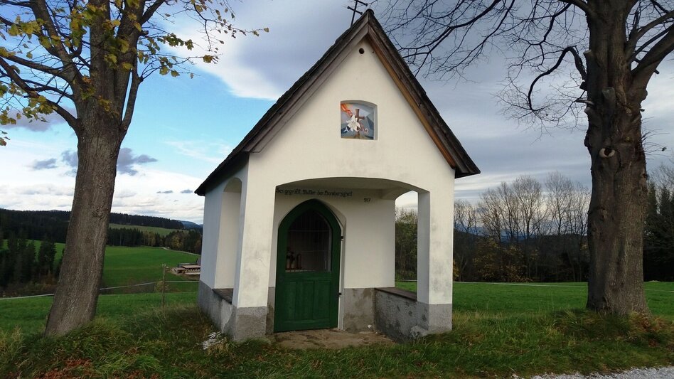 Wanderung Almhausweg - Touren-Impression #2.14 | © Region Graz