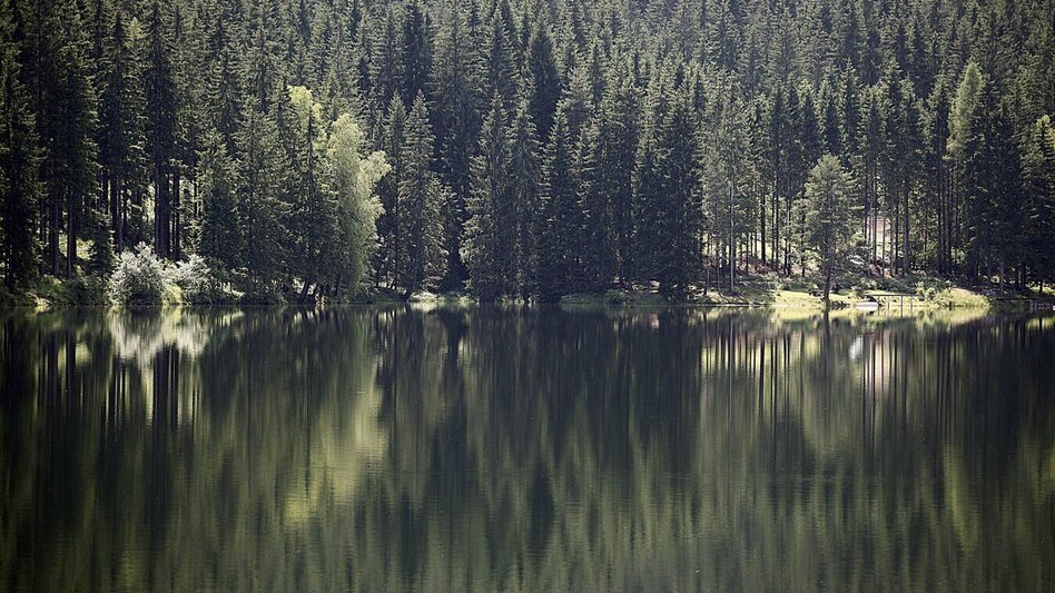 Hiking route Modriacher Seewanderweg - Touren-Impression #2.4 | © TV Lipizzanerheimat