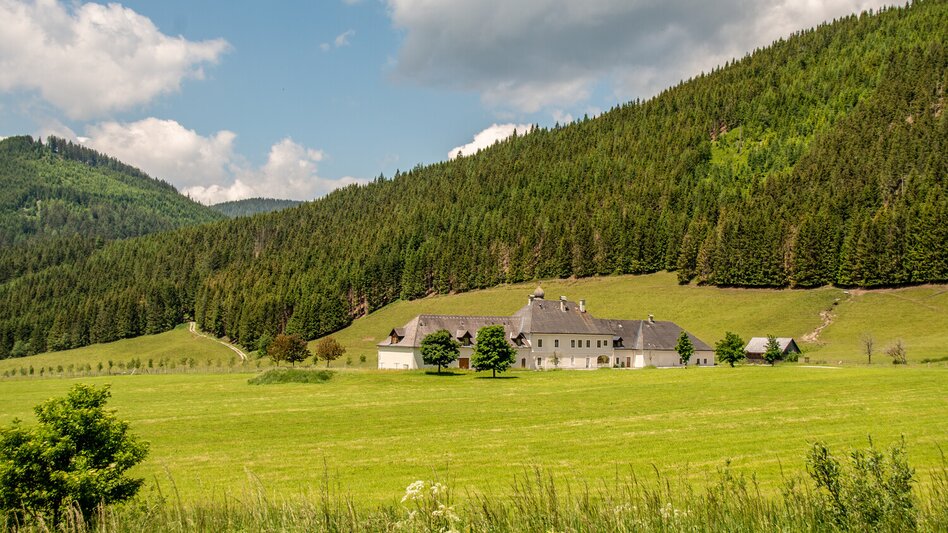 Mountain Hike Grand Kaiserau Summit Tour - Touren-Impression #2.4 | © TV Gesäuse
