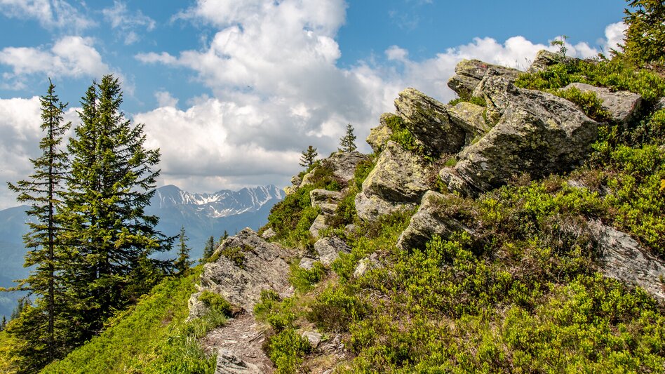 Mountain Hike Grand Kaiserau Summit Tour - Touren-Impression #2.9 | © TV Gesäuse