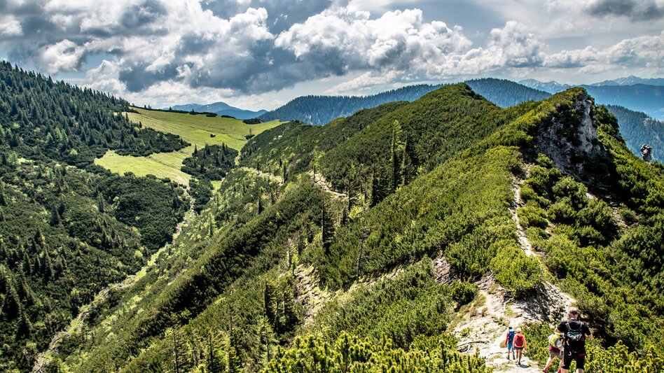 Mountain Hike Grand Kaiserau Summit Tour - Touren-Impression #2.11 | © TV Gesäuse