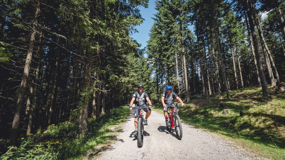 Mountain Biking Malleistenalm mountain bike trail - Touren-Impression #2.1 | © Tourismusverband Hochsteiermark