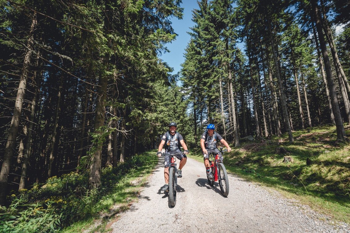 Mountain Biking Malleistenalm mountain bike trail - Touren-Impression #1 | © Tourismusverband Hochsteiermark
