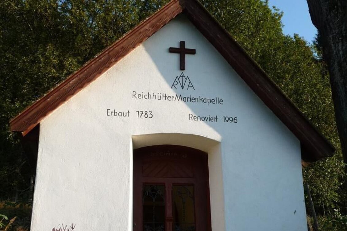 Mountainbike Tollinghöhe MTB LN 7 - Touren-Impression #1 | © TV Hochsteiermark