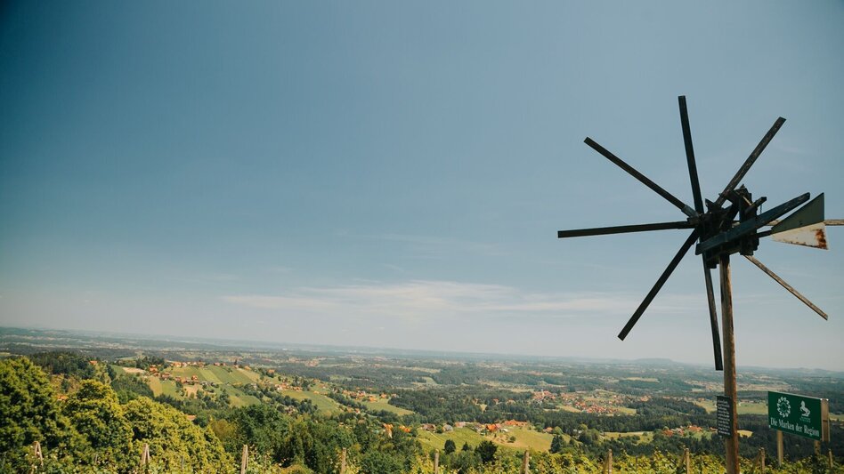 Radfahren Schilcher Tour Nord Nr. 702, Variante 1 - Touren-Impression #2.1 | © TVB Südsteiermark/Lupi Spuma