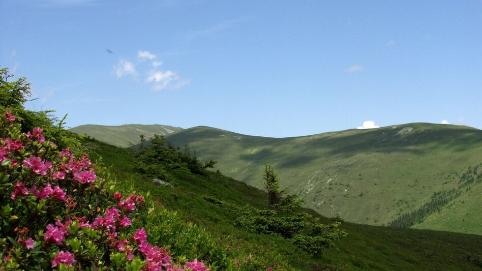 Wanderung Vom Salzstiegl nach Hirschegg / Peterer Riegel - Touren-Impression #2.13 | © www.spengerwirt.at