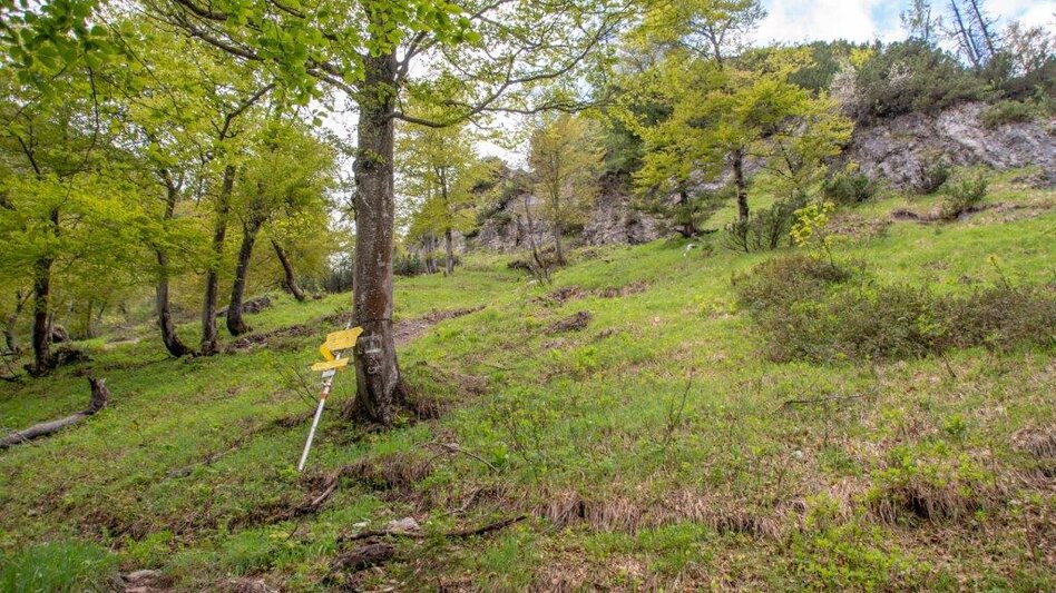 Bergtour Hocherb/ Mühlbach - Ennstalerhütte - Touren-Impression #2.6 | © TV Gesäuse