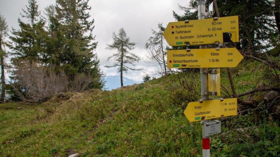 Bergtour Hocherb/ Mühlbach - Ennstalerhütte - Touren-Impression #2.7 | © TV Gesäuse