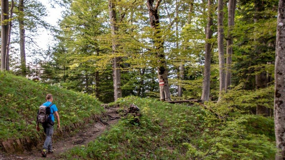 Bergtour Hocherb/ Mühlbach - Ennstalerhütte - Touren-Impression #2.10 | © TV Gesäuse