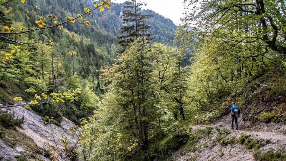 Bergtour Hocherb/ Mühlbach - Ennstalerhütte - Touren-Impression #2.11 | © TV Gesäuse