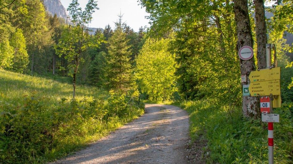 Bergtour Hocherb/ Mühlbach - Ennstalerhütte - Touren-Impression #2.13 | © TV Gesäuse