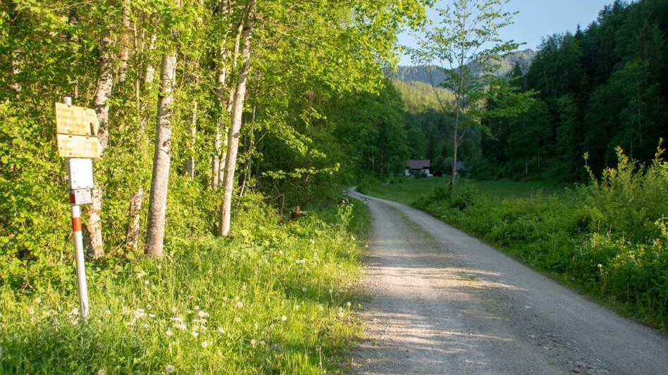 Bergtour Hocherb/ Mühlbach - Ennstalerhütte - Touren-Impression #2.14 | © TV Gesäuse
