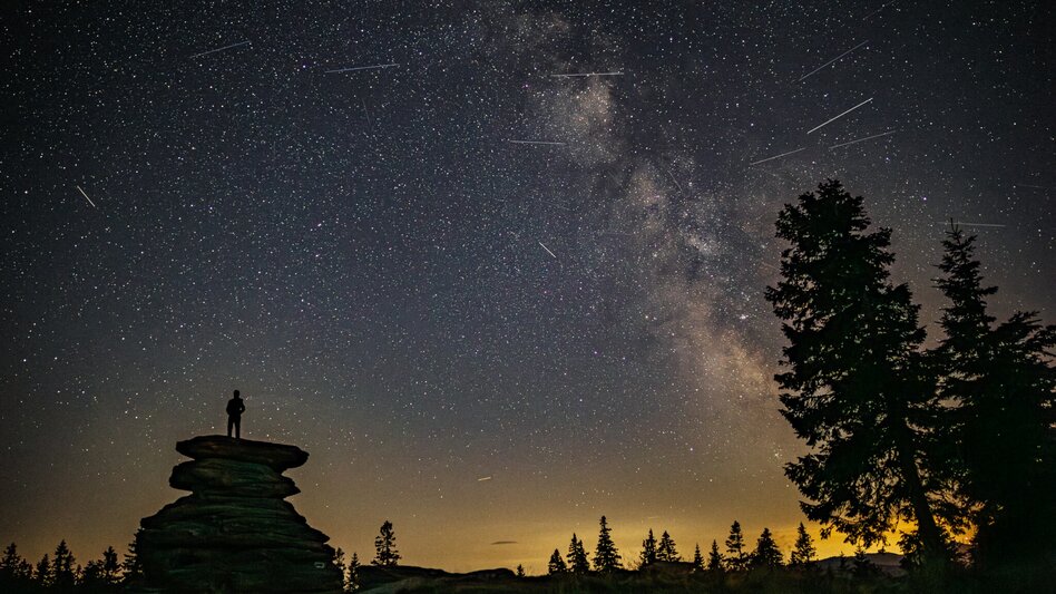 Hiking route Teufelsteinrunde, Fischbach - Touren-Impression #2.3