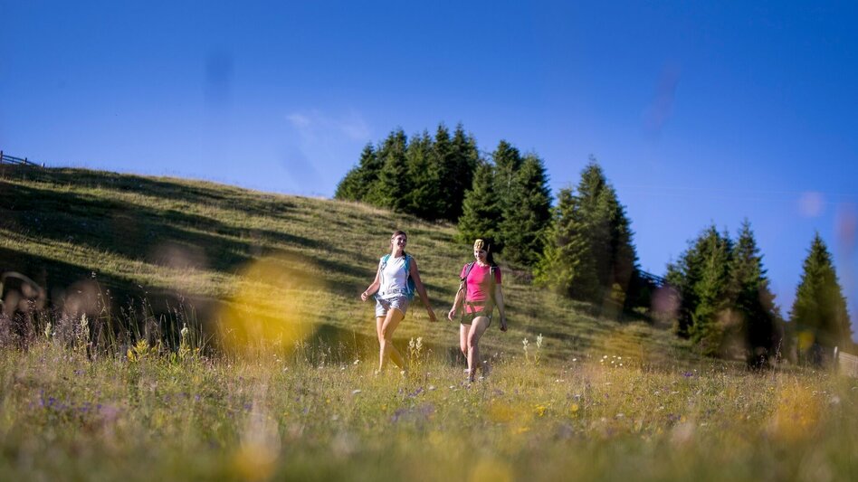 Hiking route Kärntnerriegel round - Touren-Impression #2.3 | © Tourismusverband Murau