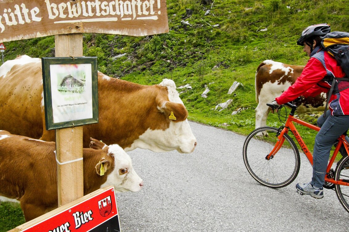 Bike Riding Stage 02 Mur Cycle Path St. Michael im Lungau - Murau - Touren-Impression #1 | © (c) Steiermark Tourismus/Gerhard Eisenschink