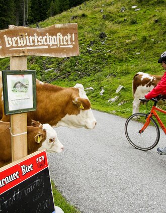 Unterwegs Richtung Murau | Gerhard Eisenschink | © (c) Steiermark Tourismus/Gerhard Eisenschink