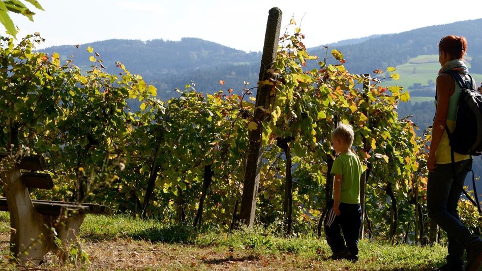 Wanderung Keltenweg kurz - Touren-Impression #2.2 | © TV Ligist