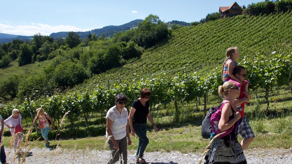 Wanderung Keltenweg kurz - Touren-Impression #2.3 | © TV Ligist