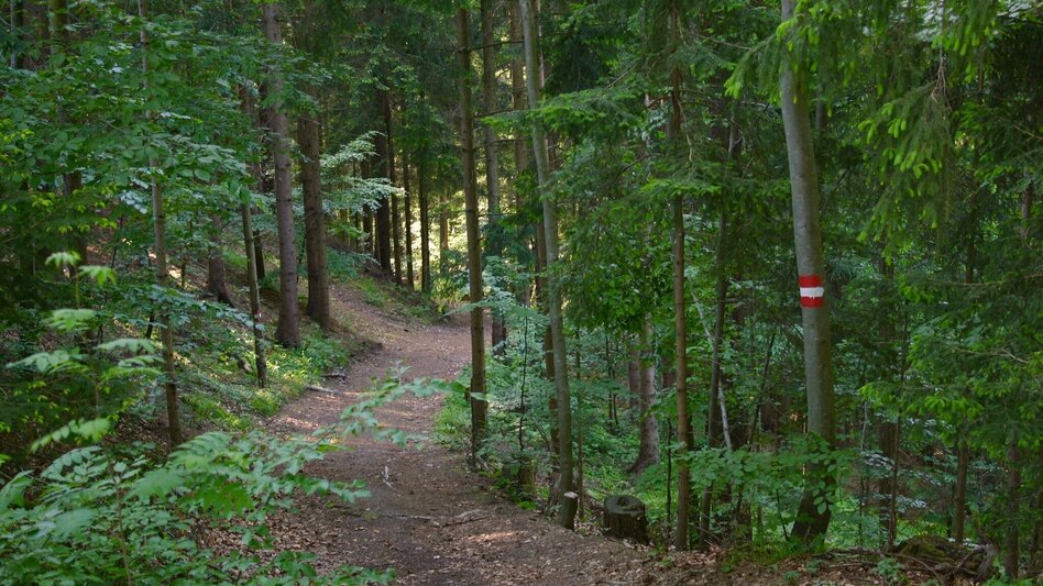 Wanderung Keltenweg kurz - Touren-Impression #2.4 | © TV Ligist