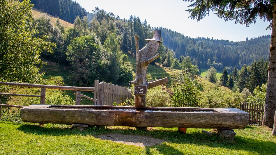 Wanderung Romantischer Bründlweg - Touren-Impression #2.1 | © Verein romantischer Bründlweg 